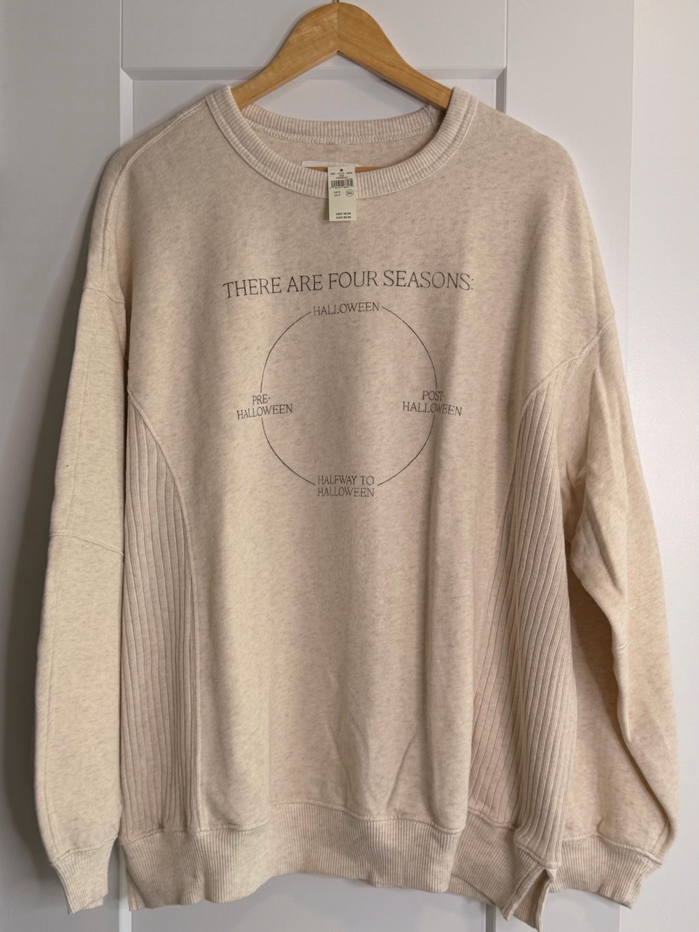 🩵2 for $30- aerie Cream Graphic Pullover Sweatshirt